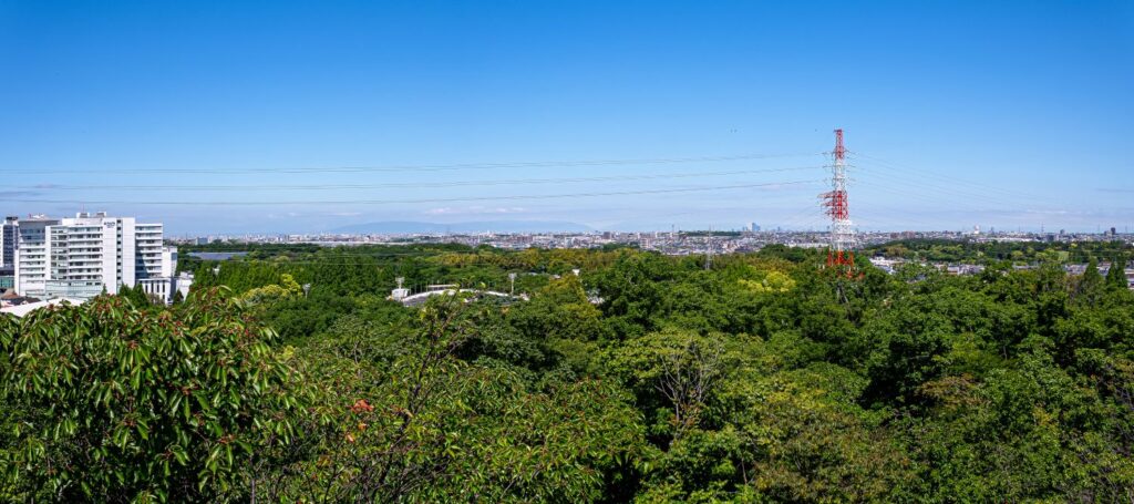 よそに見し をざさが上の白露を