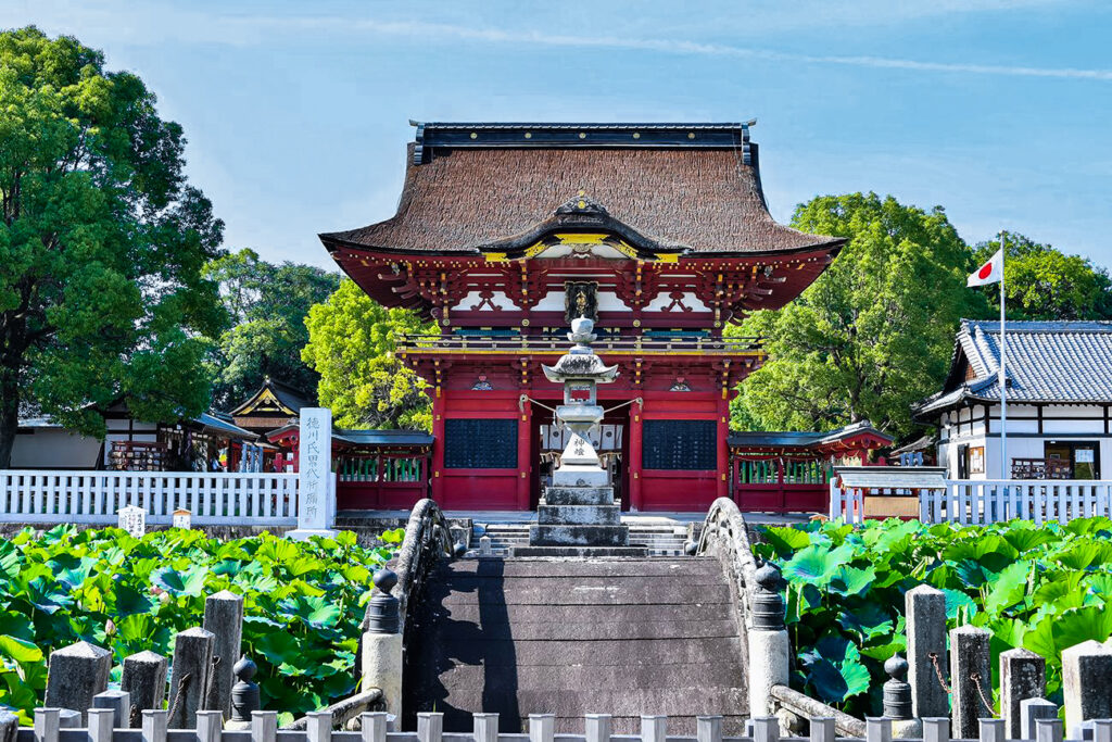 伊賀八幡宮は一年のうちで一番美しい蓮の花の季節を迎えます