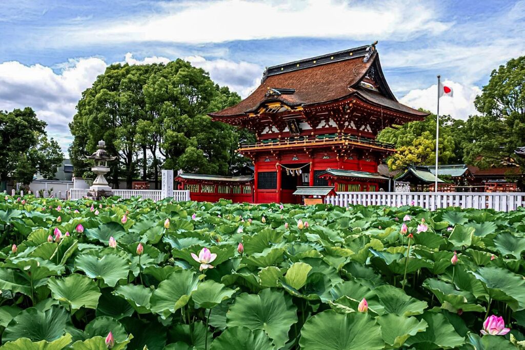 ハスに彩られる随神門
