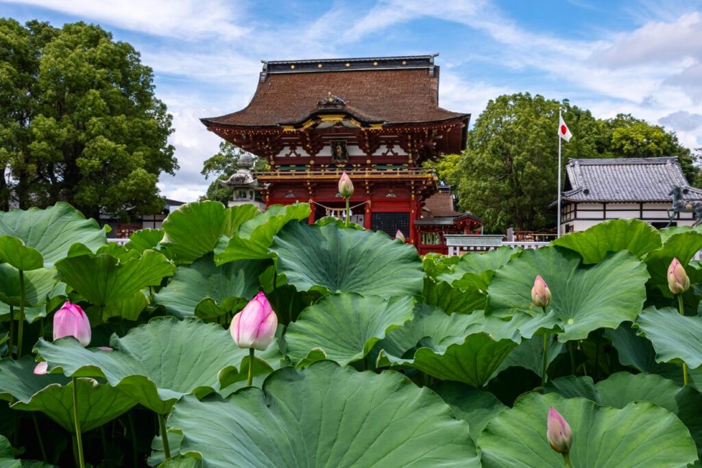 ハスに彩られる随神門