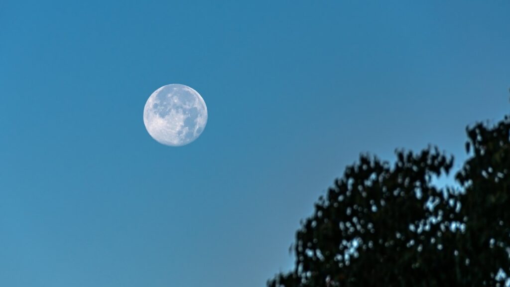 コールドムーン