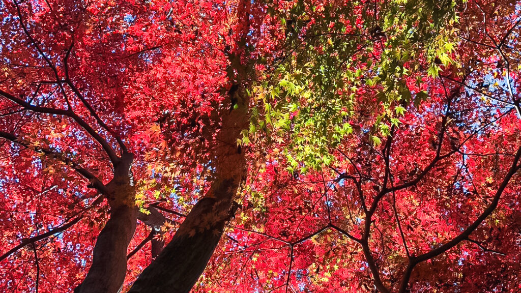 2025年（令和7年）12月2日（火曜日）